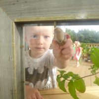 Gallery - Gallery Thumbnail