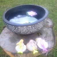 Home - Gallery Thumbnail