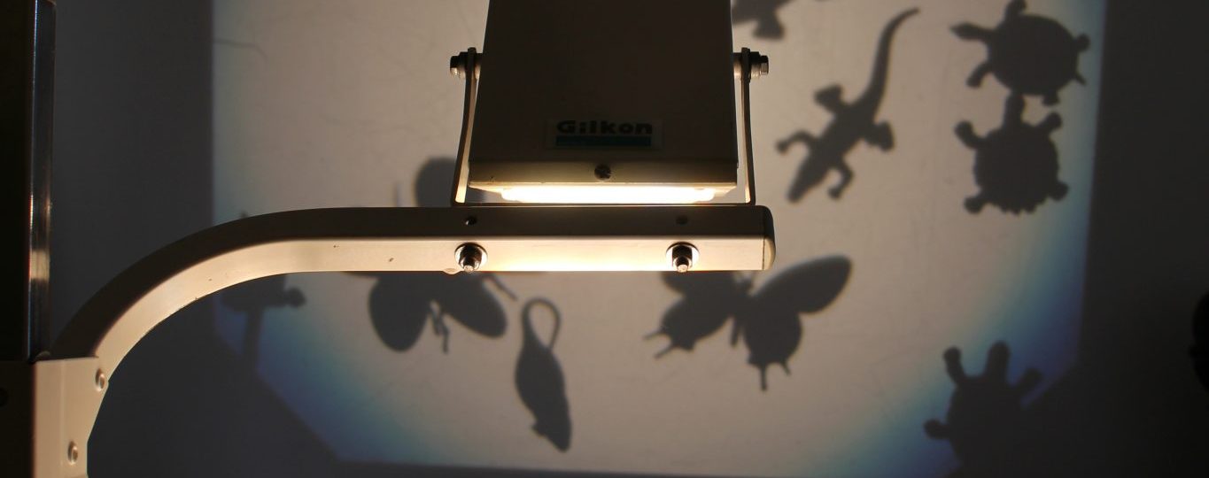 The Environment - Header Image